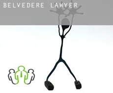 Belvedere  lawyer