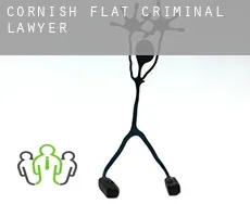 Cornish Flat  criminal lawyer