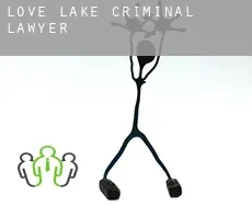 Love Lake  criminal lawyer