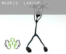 Madrid  lawyer