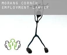 Morang Corner  employment lawyer