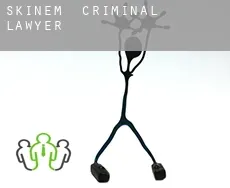 Skinem  criminal lawyer