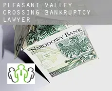 Pleasant Valley Crossing  bankruptcy lawyer