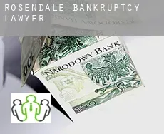 Rosendale  bankruptcy lawyer