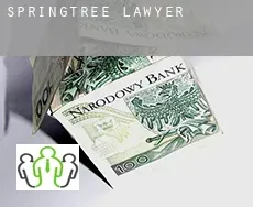 Springtree  lawyer