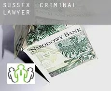 Sussex  criminal lawyer