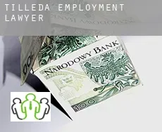 Tilleda  employment lawyer