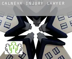 Calneva  injury lawyer