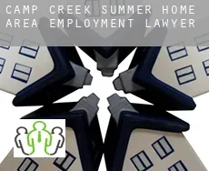 Camp Creek Summer Home Area  employment lawyer