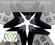 Frog Hop  injury lawyer