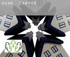 Gunn  lawyer