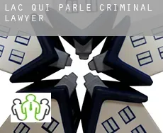 Lac qui Parle  criminal lawyer