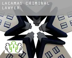 Lacamas  criminal lawyer