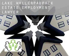 Lake Wallenpaupack Estate  employment lawyer