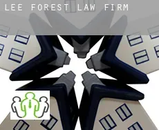 Lee Forest  law firm