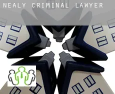 Nealy criminal lawyer