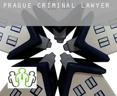 Prague criminal lawyer