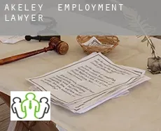 Akeley  employment lawyer