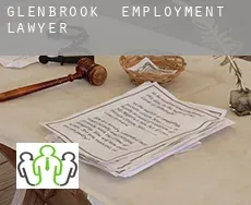 Glenbrook employment lawyer