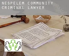 Nespelem Community  criminal lawyer