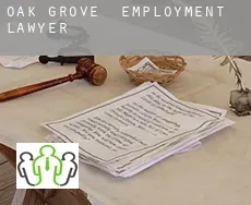 Oak Grove  employment lawyer