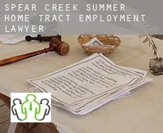 Spear Creek Summer Home Tract  employment lawyer