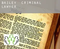 Bailey  criminal lawyer