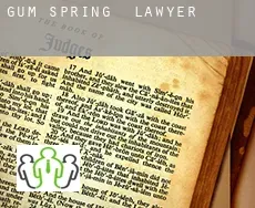 Gum Spring  lawyer