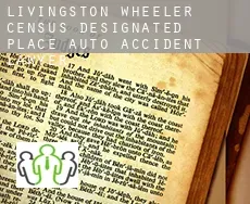 Livingston Wheeler  auto accident lawyer