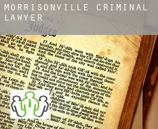 Morrisonville  criminal lawyer