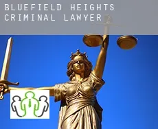 Bluefield Heights  criminal lawyer