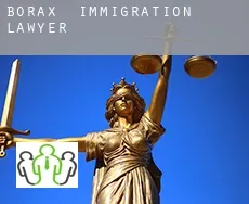 Borax  immigration lawyer