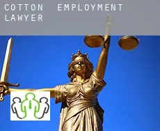Cotton  employment lawyer