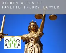 Hidden Acres of Fayette  injury lawyer