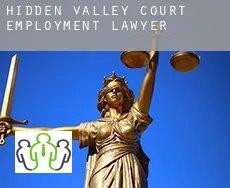 Hidden Valley Court  employment lawyer