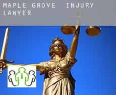 Maple Grove  injury lawyer