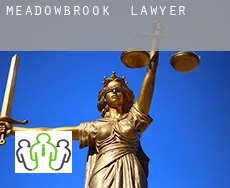 Meadowbrook  lawyer