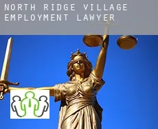 North Ridge Village  employment lawyer