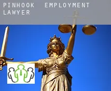 Pinhook  employment lawyer