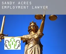 Sandy Acres  employment lawyer