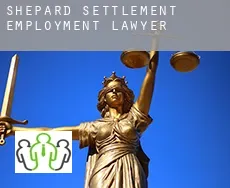 Shepard Settlement  employment lawyer