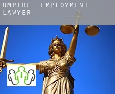 Umpire  employment lawyer