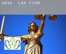 Ursa  law firm