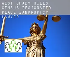 West Shady Hills  bankruptcy lawyer