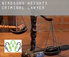 Birdsong Heights  criminal lawyer