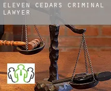 Eleven Cedars  criminal lawyer