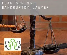 Flag Spring  bankruptcy lawyer