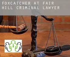 Foxcatcher at Fair Hill  criminal lawyer