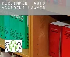 Persimmon  auto accident lawyer
