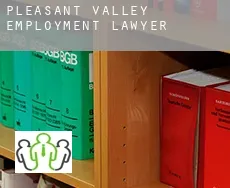 Pleasant Valley  employment lawyer